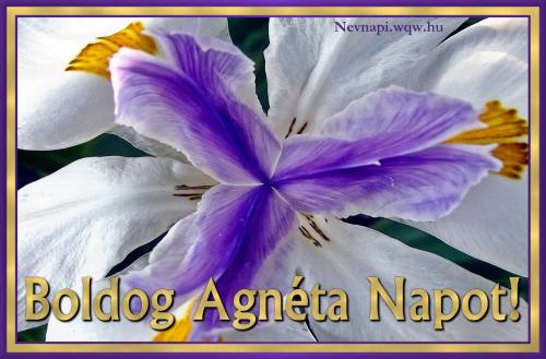 Agnta nvnapi kp (500 x 329)