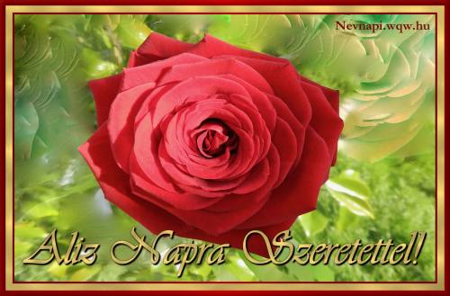 Aliz nvnapi kp (500 x 329)