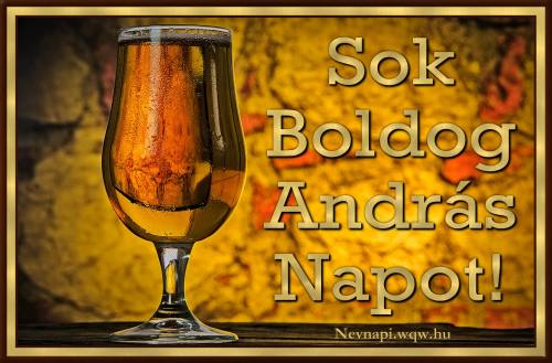 Andrs nvnapi kp