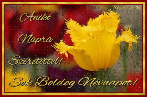 Anik nvnapi kp (500 x 329)