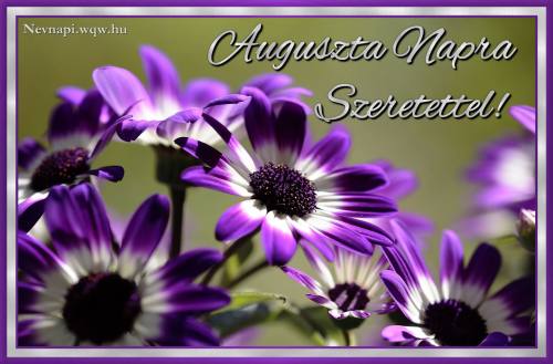 Auguszta nvnapi kp (500 x 329)