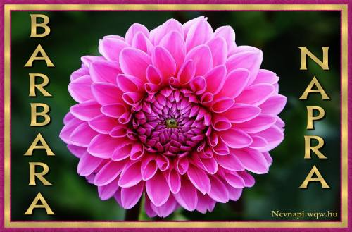 Barbara nvnapi kp (500 x 329)