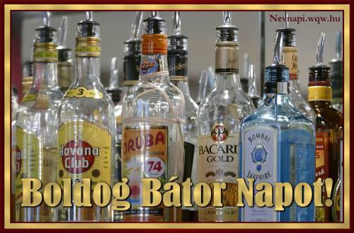 Btor nvnapi kp