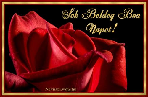 Bea nvnapi kp (500 x 329)