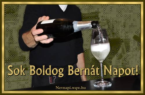 Bernt nvnapi kp