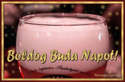 Buda nvnapi kp