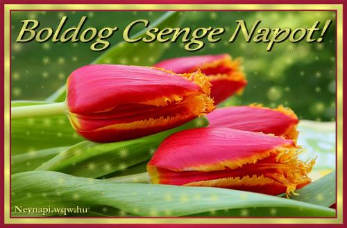 Csenge nvnapi kp