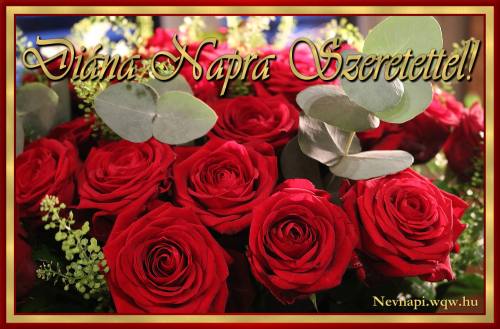Dina nvnapi kp (500 x 329)