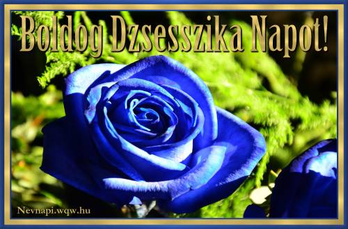 Dzsesszika nvnapi kp (500 x 329)