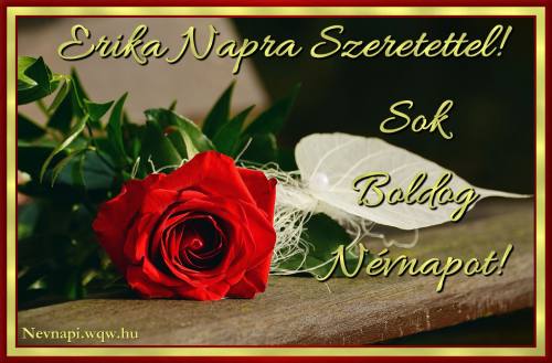 Erika nvnapi kp