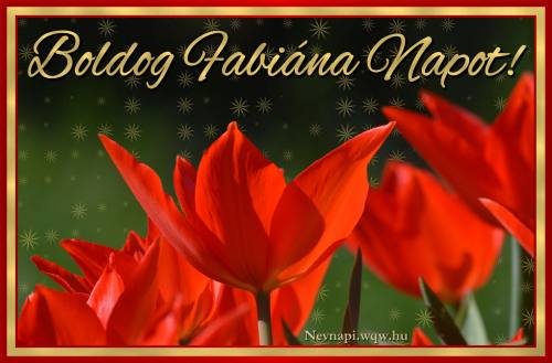 Fabina nvnapi kp (500 x 329)