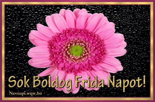 Frida nvnapi kp (500 x 329)