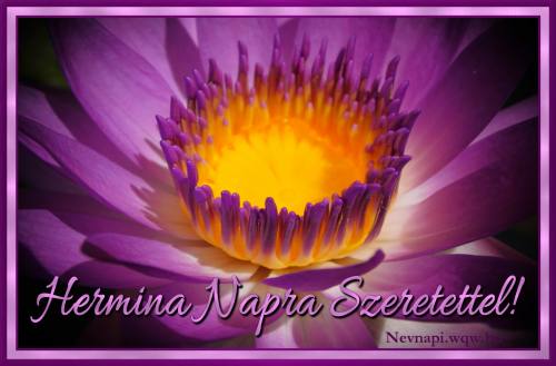 Hermina nvnapi kp (500 x 329)