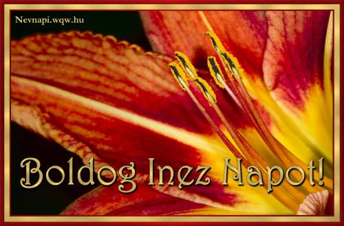 Inez nvnapi kp (500 x 329)