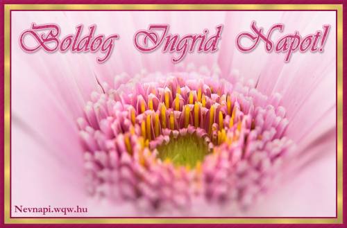 Ingrid nvnapi kp