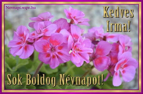 Irma nvnapi kp (500 x 329)