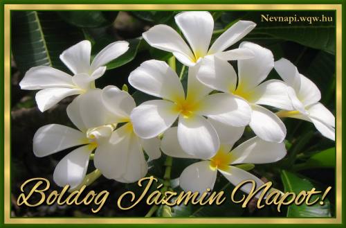 Jzmin nvnapi kp (500 x 329)