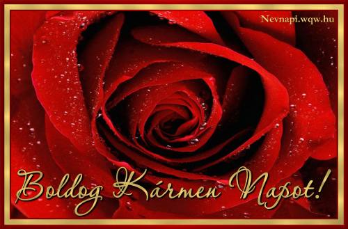 Krmen nvnapi kp (500 x 329)