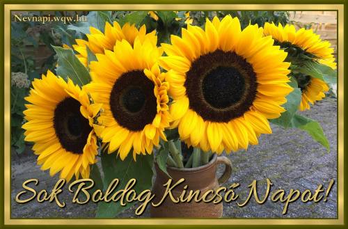 Kincs nvnapi kp (500 x 329)