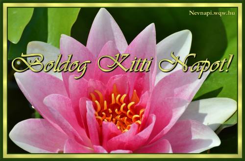 Kitti nvnapi kp (500 x 329)