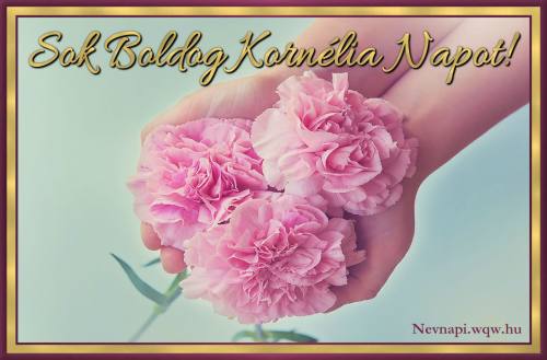 Kornlia nvnapi kp (500 x 329)