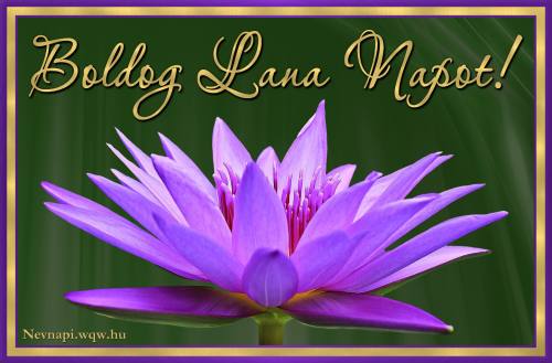 Lana nvnapi kp