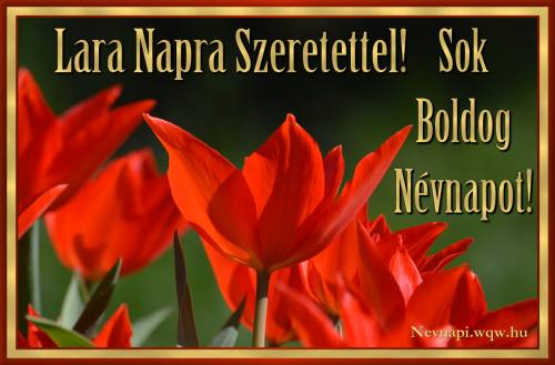 Lara nvnapi kp