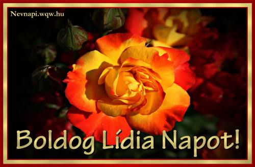Ldia nvnapi kp