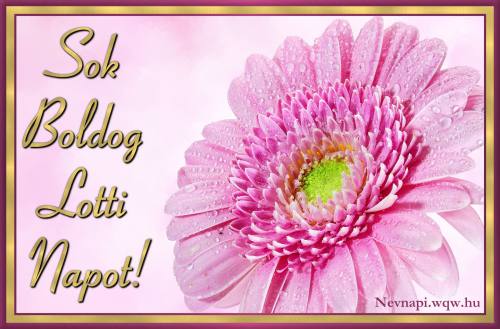 Lotti nvnapi kp (500 x 329)