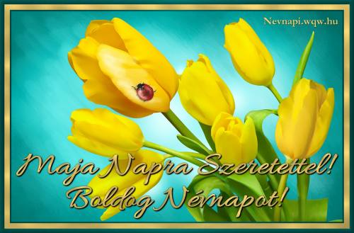 Maja nvnapi kp (500 x 329)