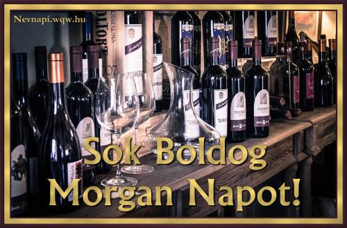 Morgan nvnapi kp (500 x 329)