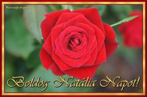 Natlia nvnapi kp (500 x 329)