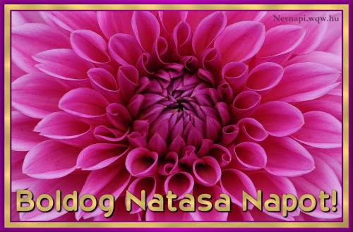 Natasa nvnapi kp