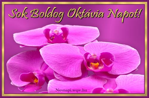 Oktvia nvnapi kp (500 x 329)