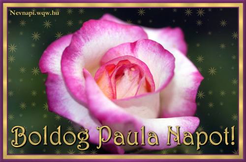 Paula nvnapi kp