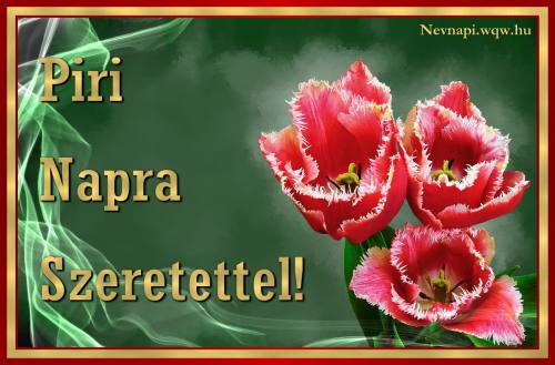 Piri nvnapi kp (500 x 329)