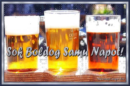 Samu nvnapi kp (500 x 329)