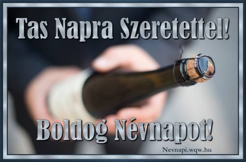Tas nvnapi kp (500 x 329)
