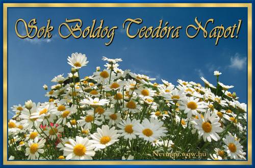 Teodra nvnapi kp