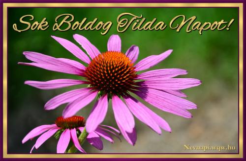 Tilda nvnapi kp (500 x 329)