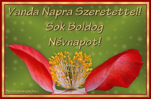 Vanda nvnapi kp (500 x 329)