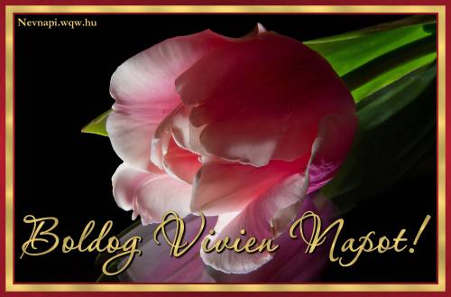 Vivien nvnapi kp (500 x 329)