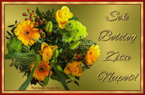 Zita nvnapi kp (500 x 329)