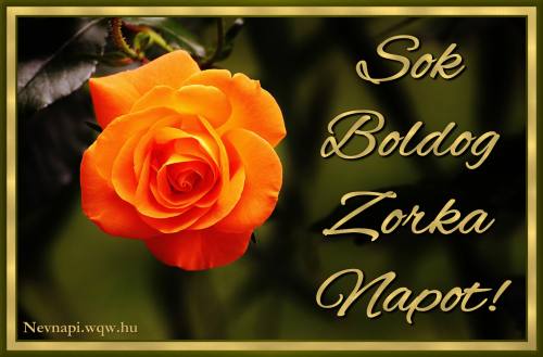 Zorka nvnapi kp (500 x 329)