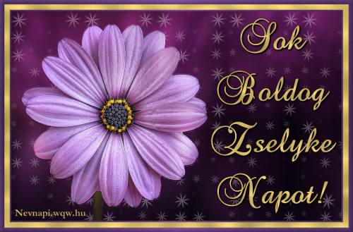 Zselyke nvnapi kp (500 x 329)