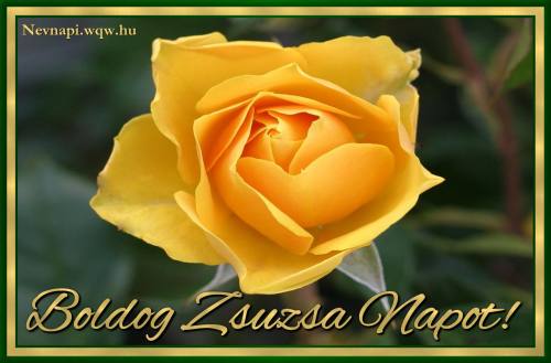 Zsuzsa nvnapi kp (500 x 329)