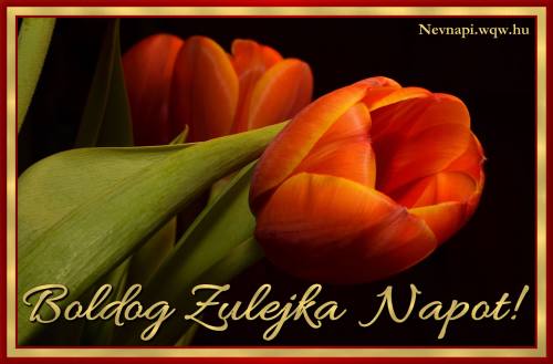 Zulejka nvnapi kp