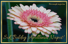 Az Apoll�nia n�v jelent�se �s eredete, Apoll�nia n�vnapok �s n�vre sz�l� k�peslap Apoll�nia n�vnapra.