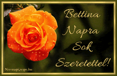 A Bettina nv jelentse s eredete, Bettina nvnapok s nvre szl kpeslap Bettina nvnapra.