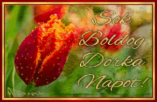A Dorka nv jelentse s eredete, Dorka nvnapok s nvre szl kpeslap Dorka nvnapra.
